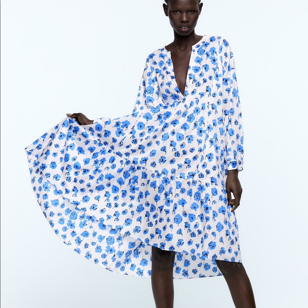 Zara Floral Print dress